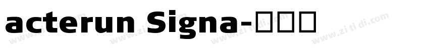 acterun Signa字体转换